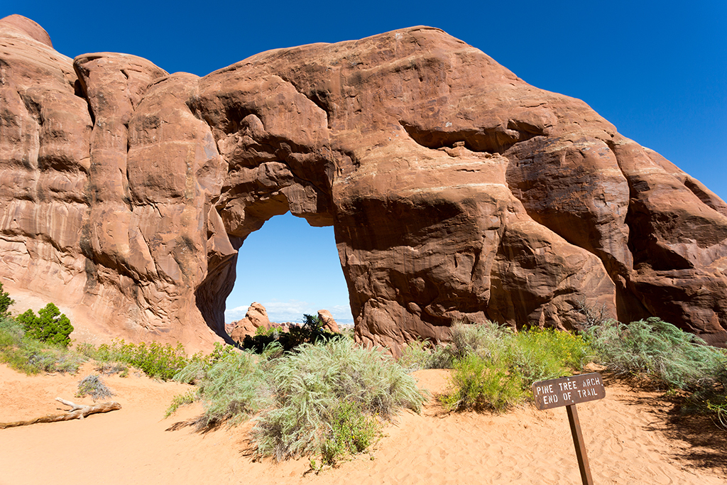 10-10 - 02.jpg - Pine Tree Arch, Arches National Park